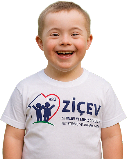 gönüllü ol ziçev